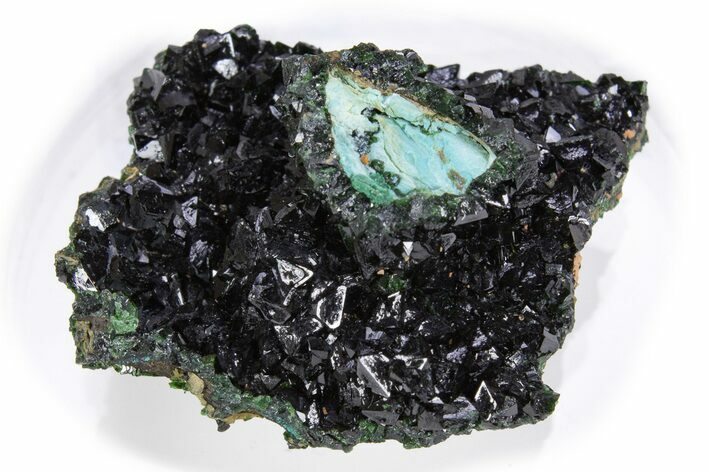 Deep-Green Libethenite Crystal Cluster - Congo-Brazzaville #302230